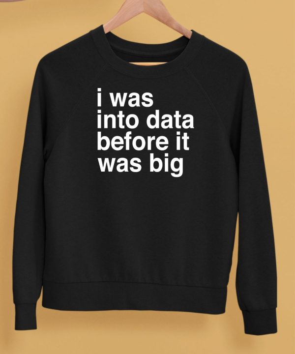 I Was Into Data Before It Was Big Shirt5