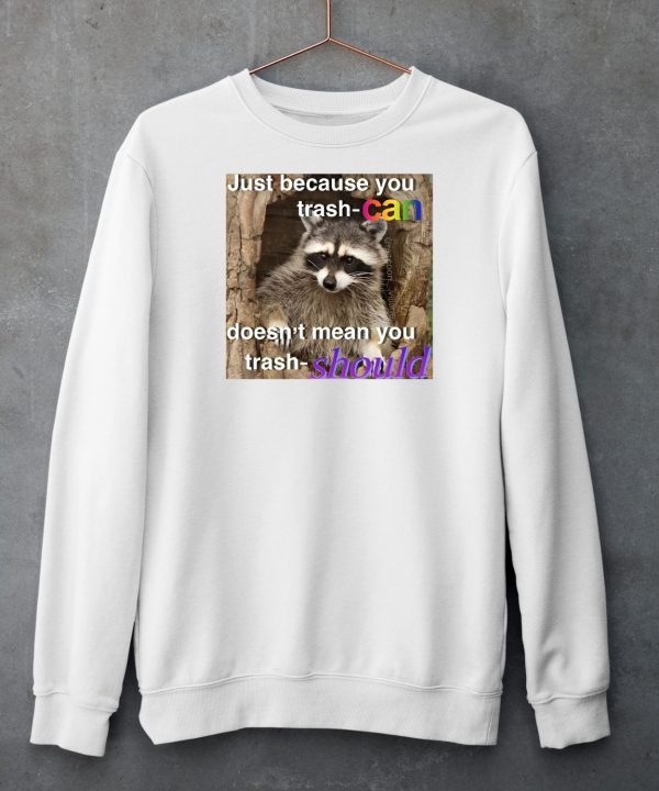 Raccoon Just Because You Trash Can Doesnt Mean You Trash Should Shirt5