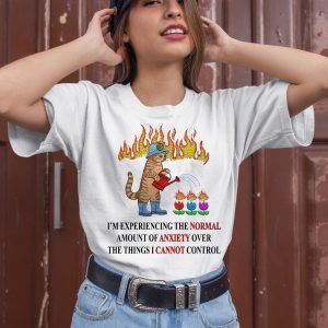 Im Experiencing The Normal Amount Of Anxiety Over The Things I Cannot Control Shirt