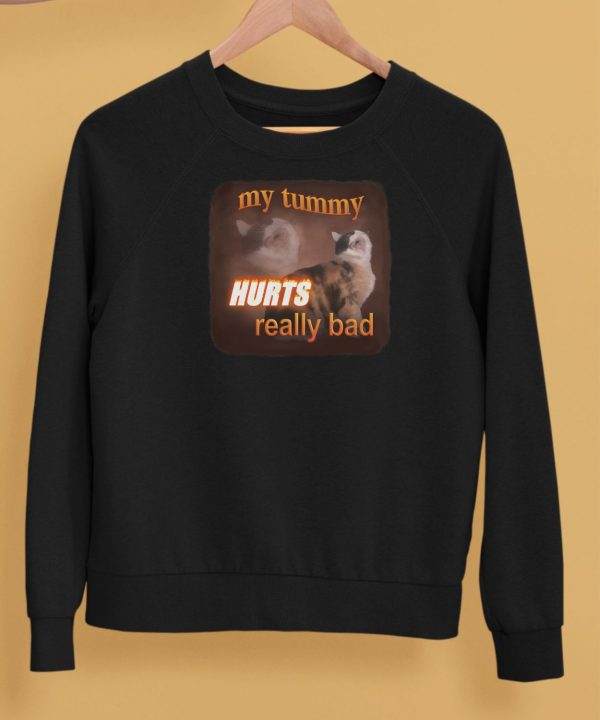 My Tummy Hurts Really Bad Cat Shirt5