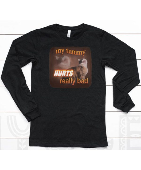 My Tummy Hurts Really Bad Cat Shirt6