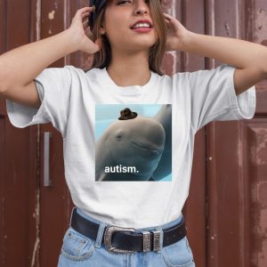 Autism Dolphin Shirt