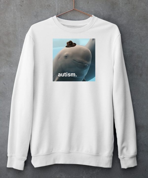 Autism Dolphin Shirt5