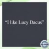 kenny lucy dacus official store i like lucy dacus x everybodyworld slate tee s