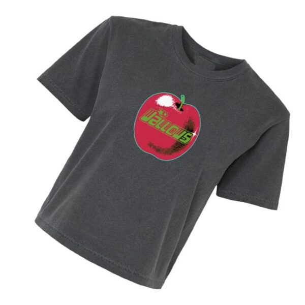 kenny Wallows Merch Store Wallows Apple Model More Tour 2025 Shirts