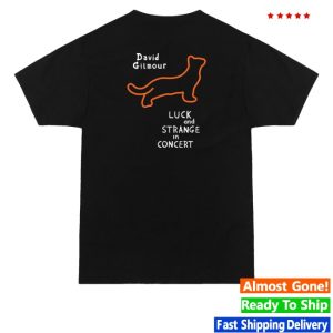 kenny David Gilmour Merch Store David And Romany In Concert Shirt