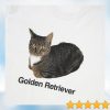 kenny Lo Fi Merch Store Golden Retriever Shirt