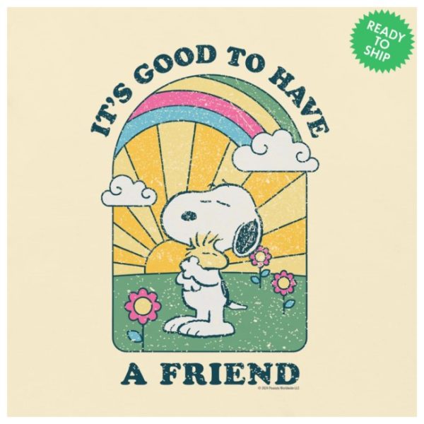 kenny Peanuts Store Merch Peanuts Groovy Comfort Colors Shirt