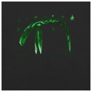 kenny Nbc Store Anemone Drawing Comfort Colors Shirt0 kenny Nbc Store Anemone Drawing Comfort Colors Shirt0