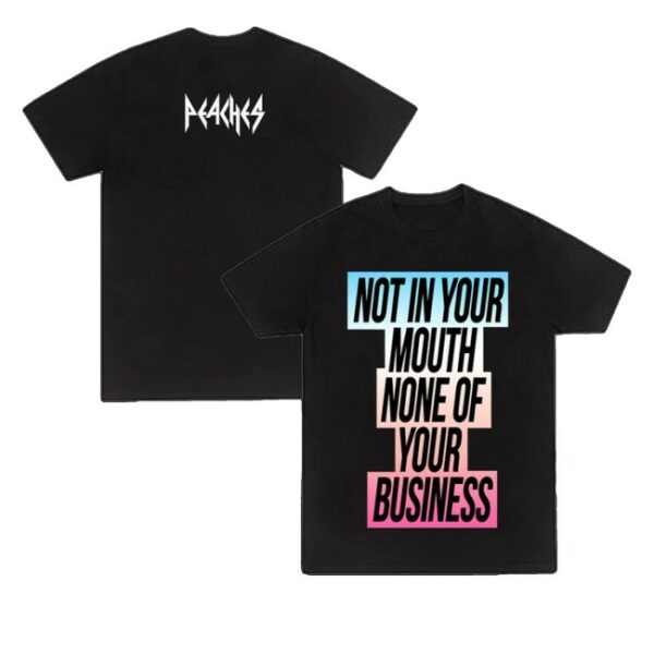 kenny The Teaches Of Peaches Store Merch Not In Your Mouth Trans Flag Shirtss