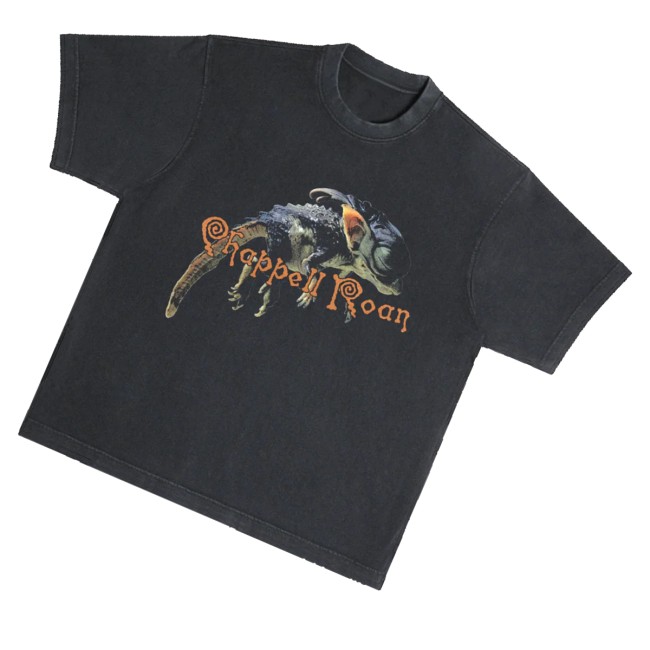 kenny Chappell Roan Merch Shigella Shirt0 kenny Chappell Roan Merch Shigella Shirt0
