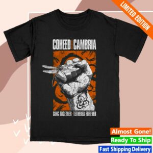 kenny Coheed And Cambria Merch Dragon Fist Shirt