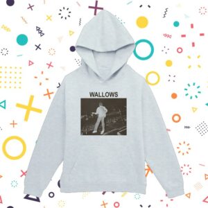 kenny Wallows Merch Store Stage Crowd Photo Pullover Hoodie