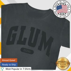 kenny Hayley Williams Merch Shop Glum Gray T Shirte kenny Hayley Williams Merch Shop Glum Gray T Shirte