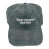 kenny Heated Rivalry Merch Store Stupid Canadian Wolf Bird Hat