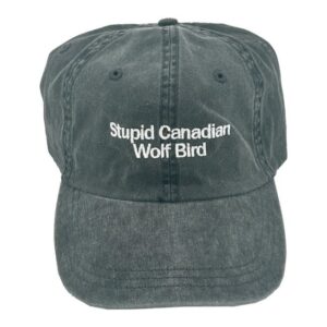 kenny Heated Rivalry Merch Store Stupid Canadian Wolf Bird Hat