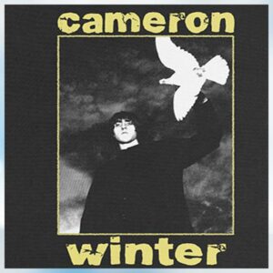 kenny Hello Merch Shop Cameron Winter T Shirtsx