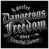 Gruntstyle Merch Shop Dangerous Freedom T-Shirt