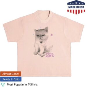 kenny Yung Kai Merch Shop Stinky Tee