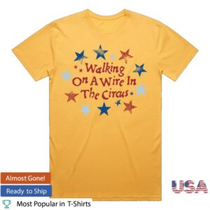 Counting Crows Merch Store Walking On A Wire T-Shirt