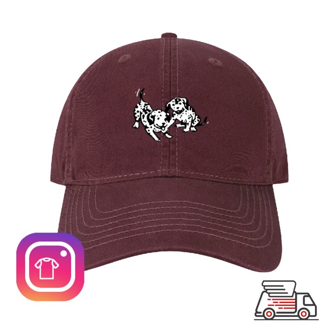 Knuckle Puck Store Merch Dalmation Hat