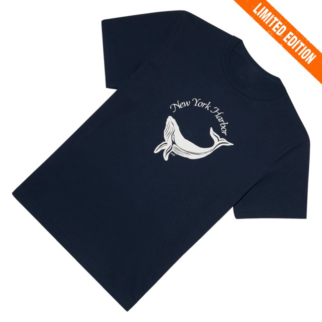 Noah Ny Merch Store New York Harbor Tee