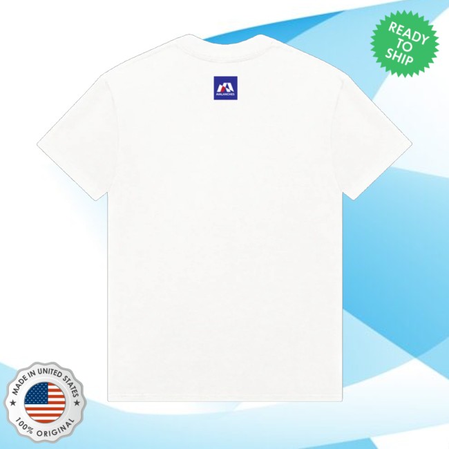 The Avalanches Store Merch Superfun Shirt