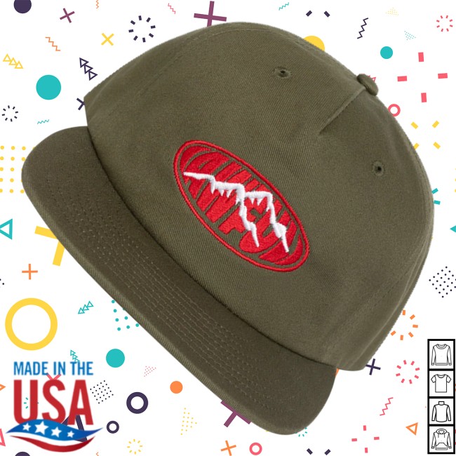 Top Dawg Entertainment Apparel Merch Isaiah Rashad Sunny Sound Hat