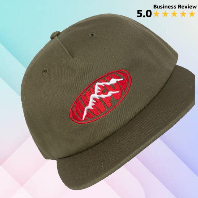 Top Dawg Entertainment Merch Shop Store Sunny Sound Hat