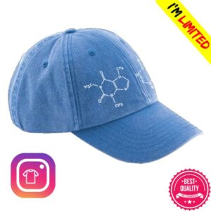 Bears In Trees Merch Store Bears In Trees Bad Decisions Jean Cap Blue