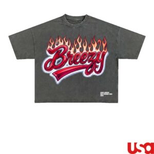 Chris Brown Store Merch Breezy R&B Tour Vintage Charcoal Tee