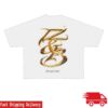 Chris Brown Store Merch Chris Brown R&B Tour White Tee