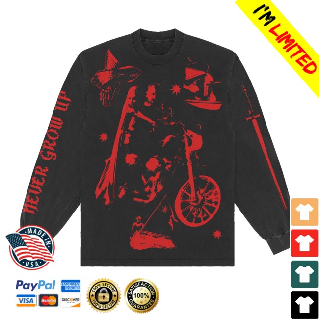 Phoebe Bridgers Store Merch Lost Boys Long Sleeve Tee
