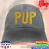 Pup The Band Merch Store Pup Morbid Stuff Logo Hat