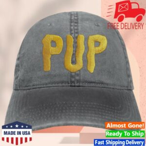 Pup The Band Merch Store Pup Morbid Stuff Logo Hat