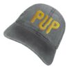 Pup The Band Merch Store Pup Morbid Stuff Logo Hat