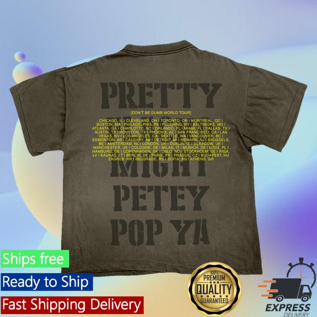Awge Merch Shop Store Dont Be Dumb Tour Pretty Flacko T-Shirt