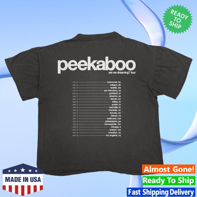 Peekashop Merch Shop Are We Dreaming Tour Tee
