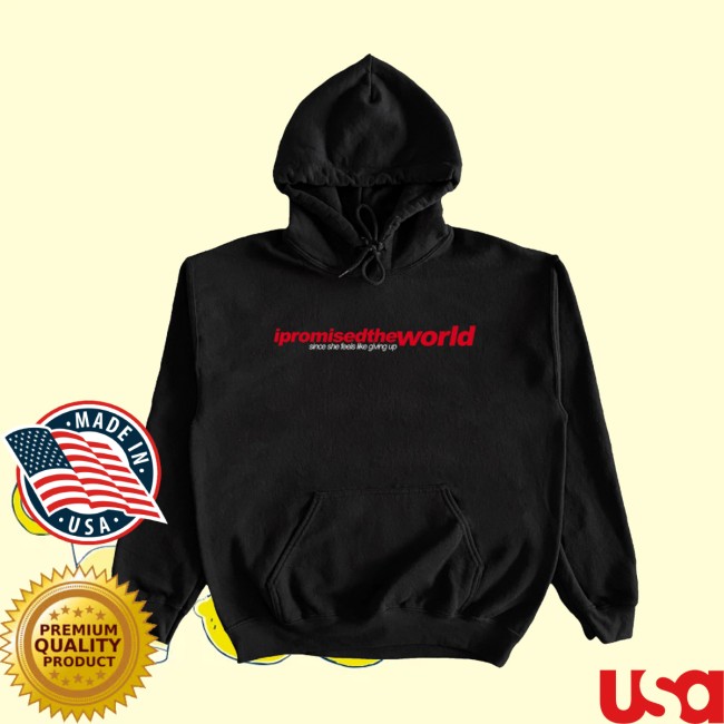 Devil Dog Distro Merch Shop I Promised The World 'Don't Just Stand There' Hoodie