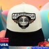 Lollapalooza Merch Store Trippy A Frame Hat 4 Lollapalooza Merch Store Trippy A Frame Hat