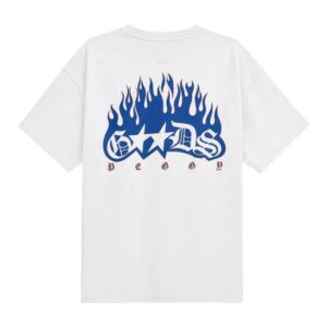 Two Jeys Merch Store Tj X Pg Flames Tee