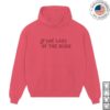 Noah Kahan Merch Store The Last Of The Bugs Hoodie Ladybug 2 Noah Kahan Merch Store The Last Of The Bugs Hoodie Ladybug